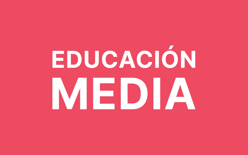 Enseñanza Media-PSP2025
